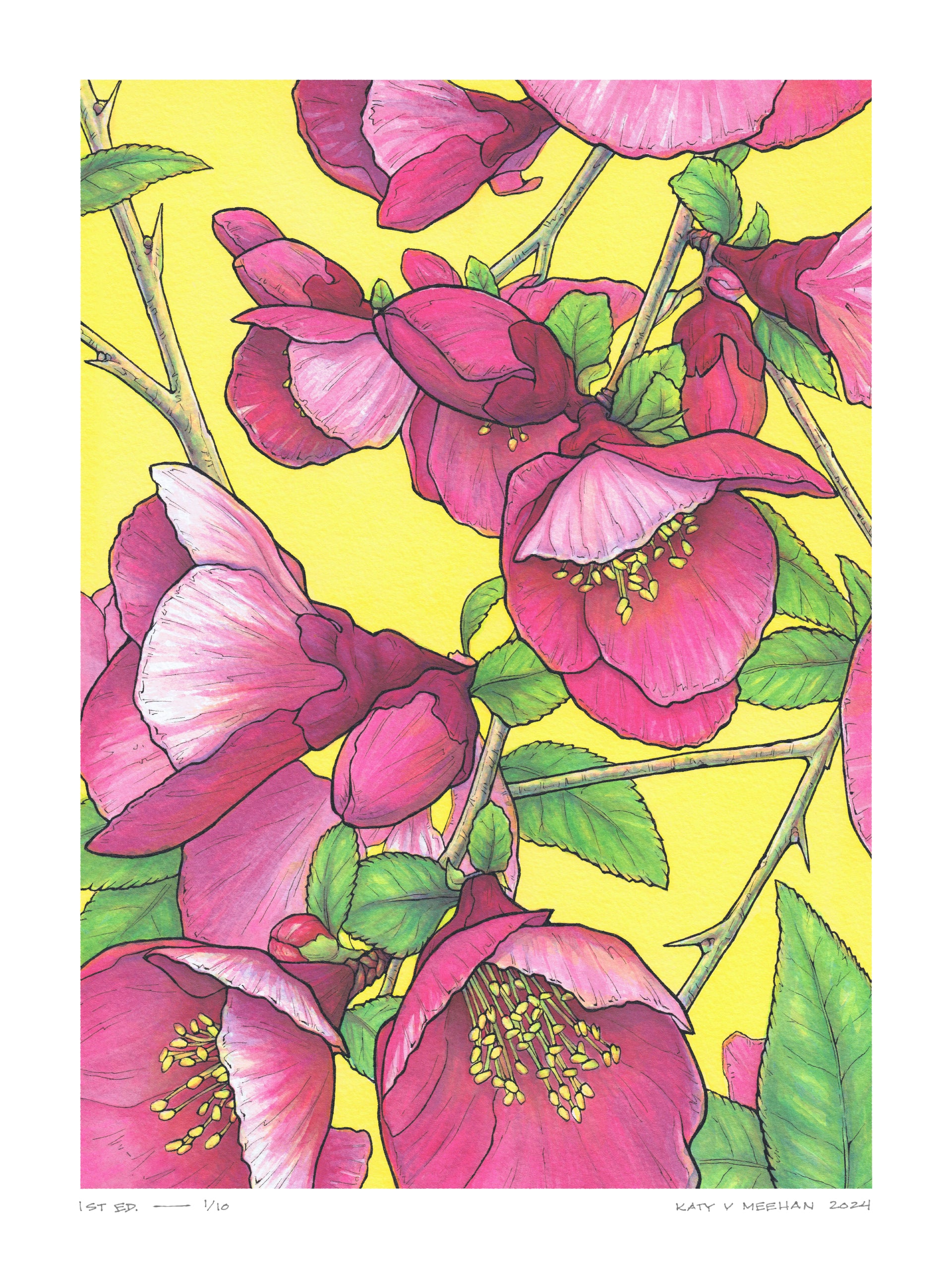 This is a high resolution scan of a limited edition art print. The original artwork was created with india ink on watercolor paper by artist Katy V. Meehan. This is a scan of a print of a hand painted rendering of a flower. The artwork is titled, ‘Quince’.