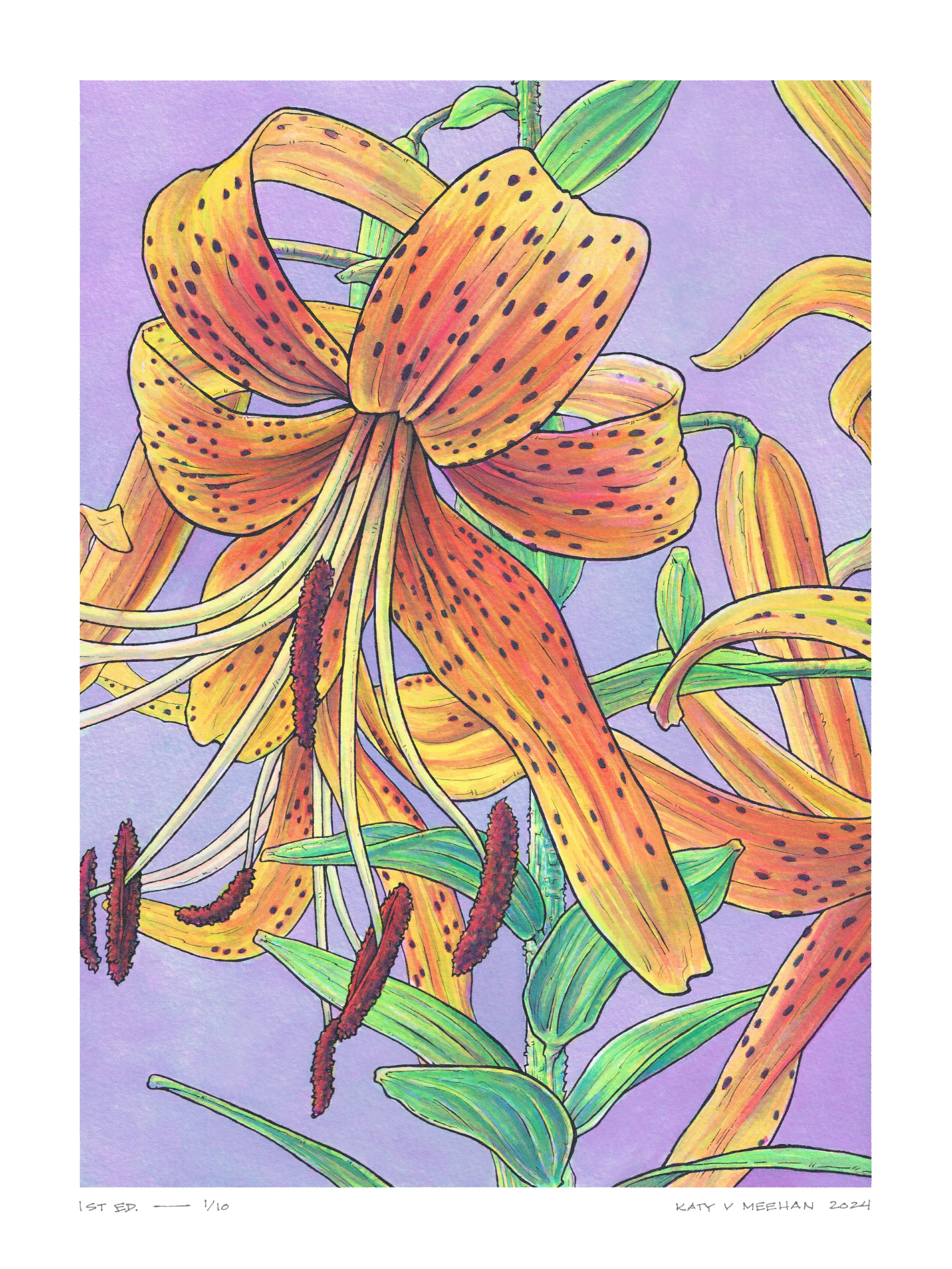 This is a high resolution scan of a limited edition art print. The original artwork was created with india ink on watercolor paper by artist Katy V. Meehan. This is a scan of a print of a hand painted rendering of a flower. The artwork is titled, ‘Tiger Lily’.