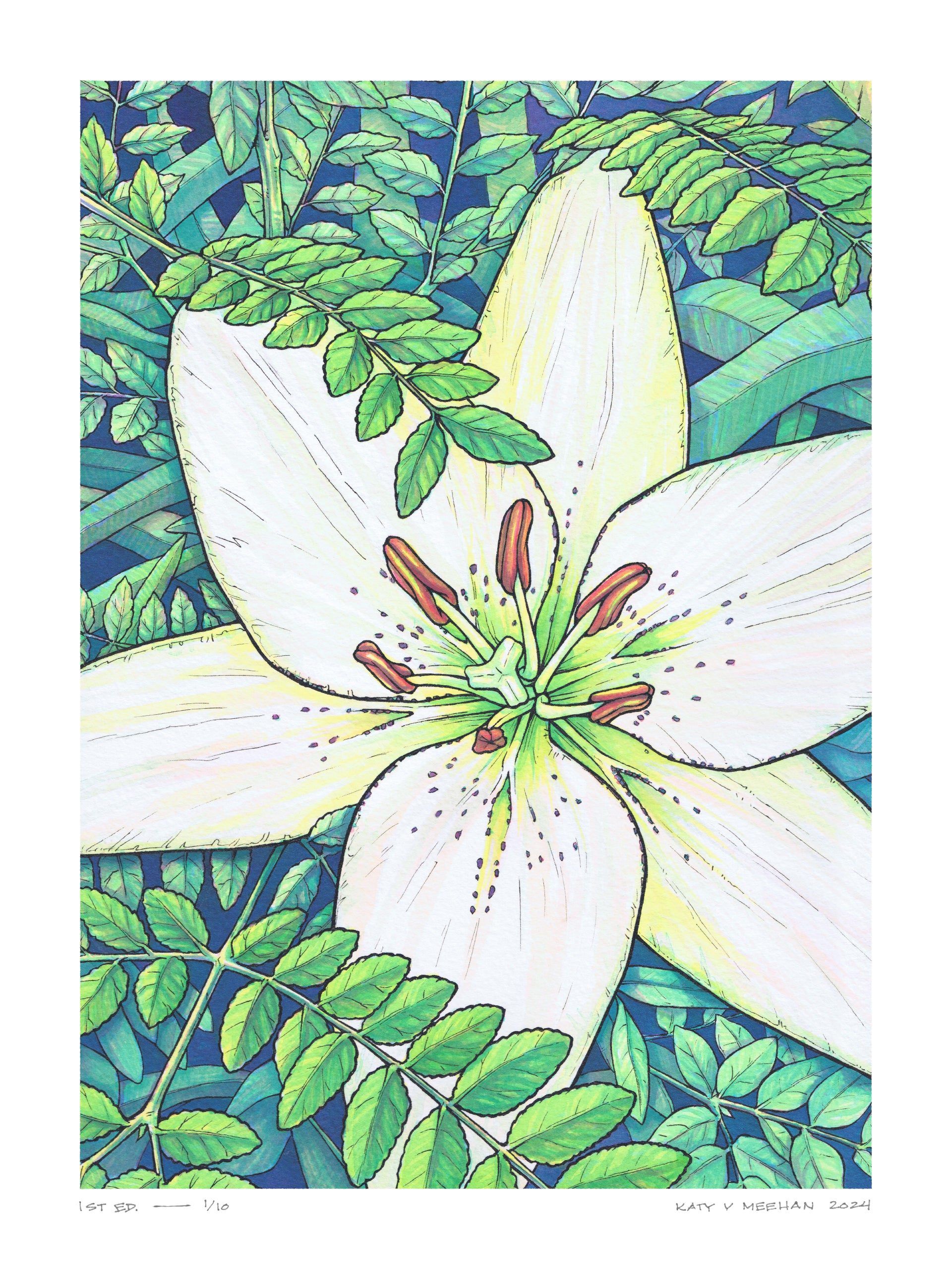 This is a high resolution scan of a limited edition art print. The original artwork was created with india ink on watercolor paper by artist Katy V. Meehan. This is a scan of a print of a hand painted rendering of a flower. The artwork is titled, ‘White Lily’.