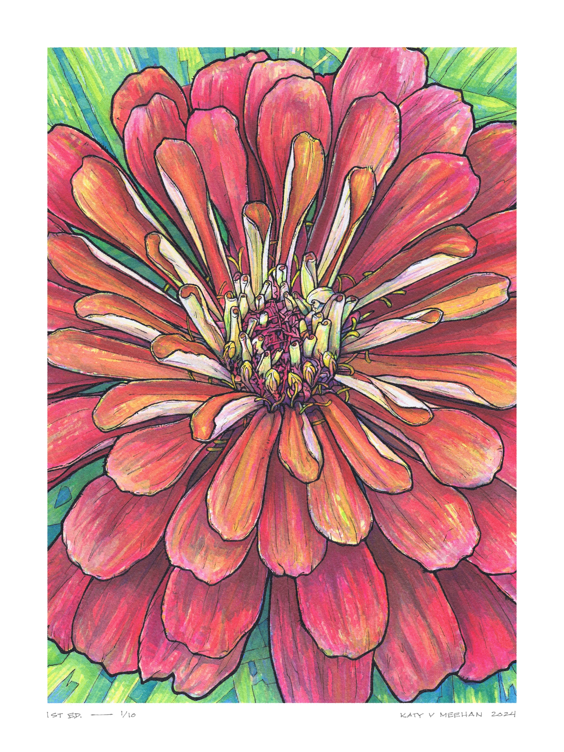 This is a high resolution scan of a limited edition art print. The original artwork was created with india ink on watercolor paper by artist Katy V. Meehan. This is a scan of a print of a hand painted rendering of a flower. The artwork is titled, ‘State Fair Zinnia’.