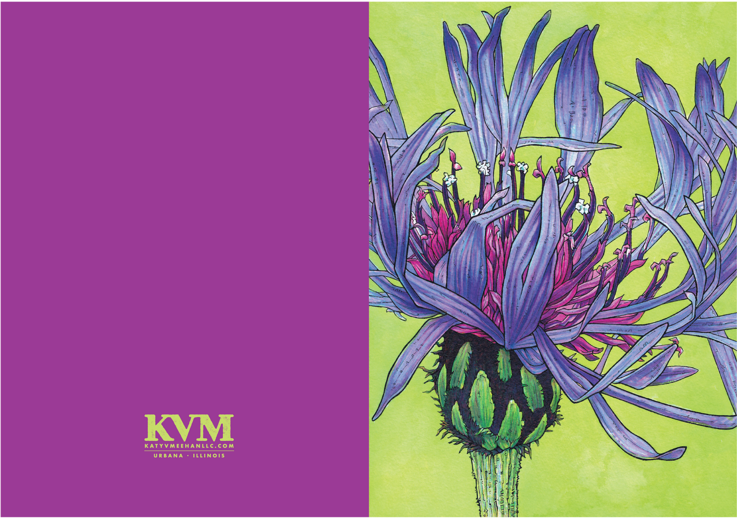 GREETING CARD SET – FLOWERS (SERIES 1)