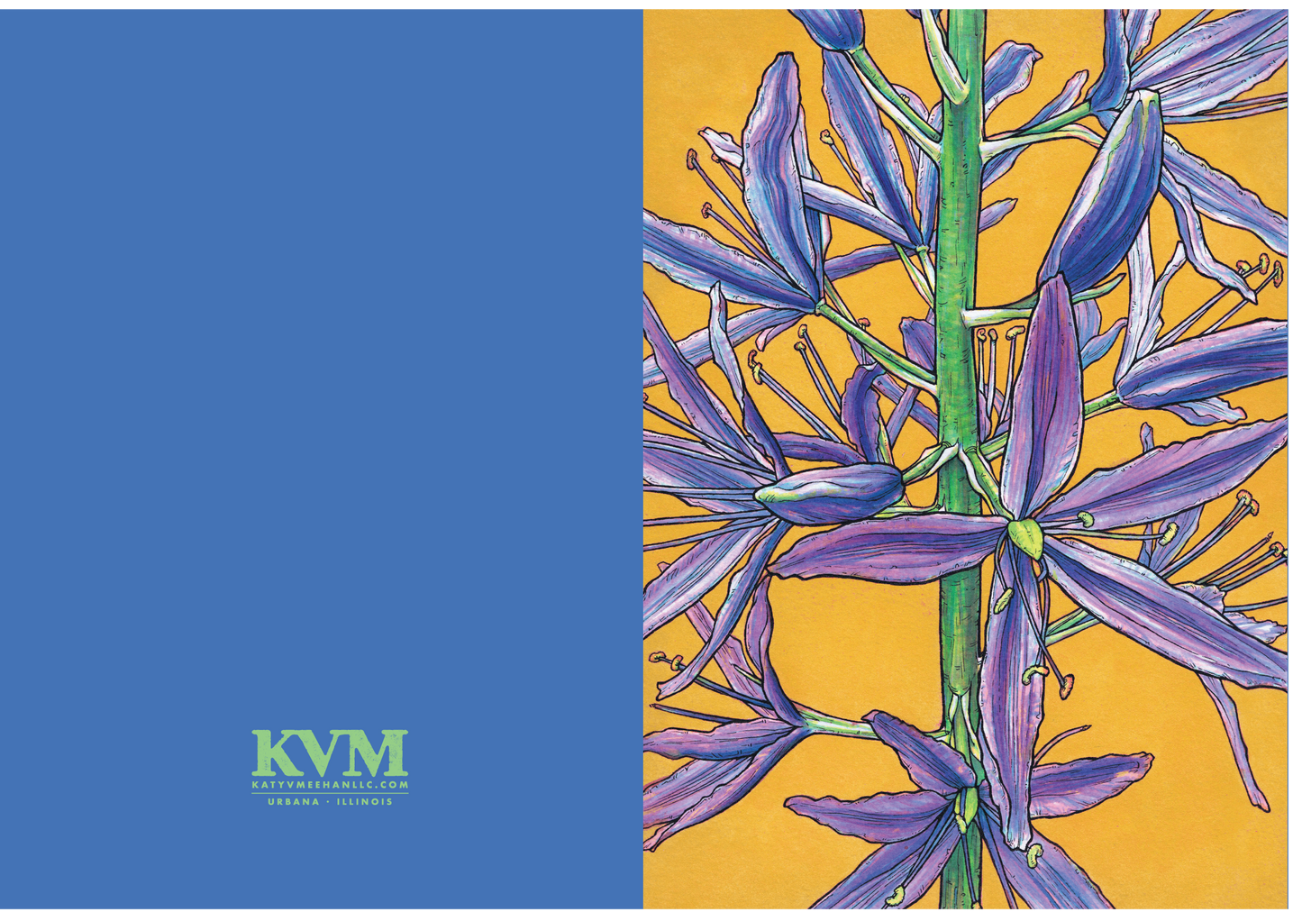 GREETING CARD SET – ALL FLOWERS (SERIES 1 and 2)