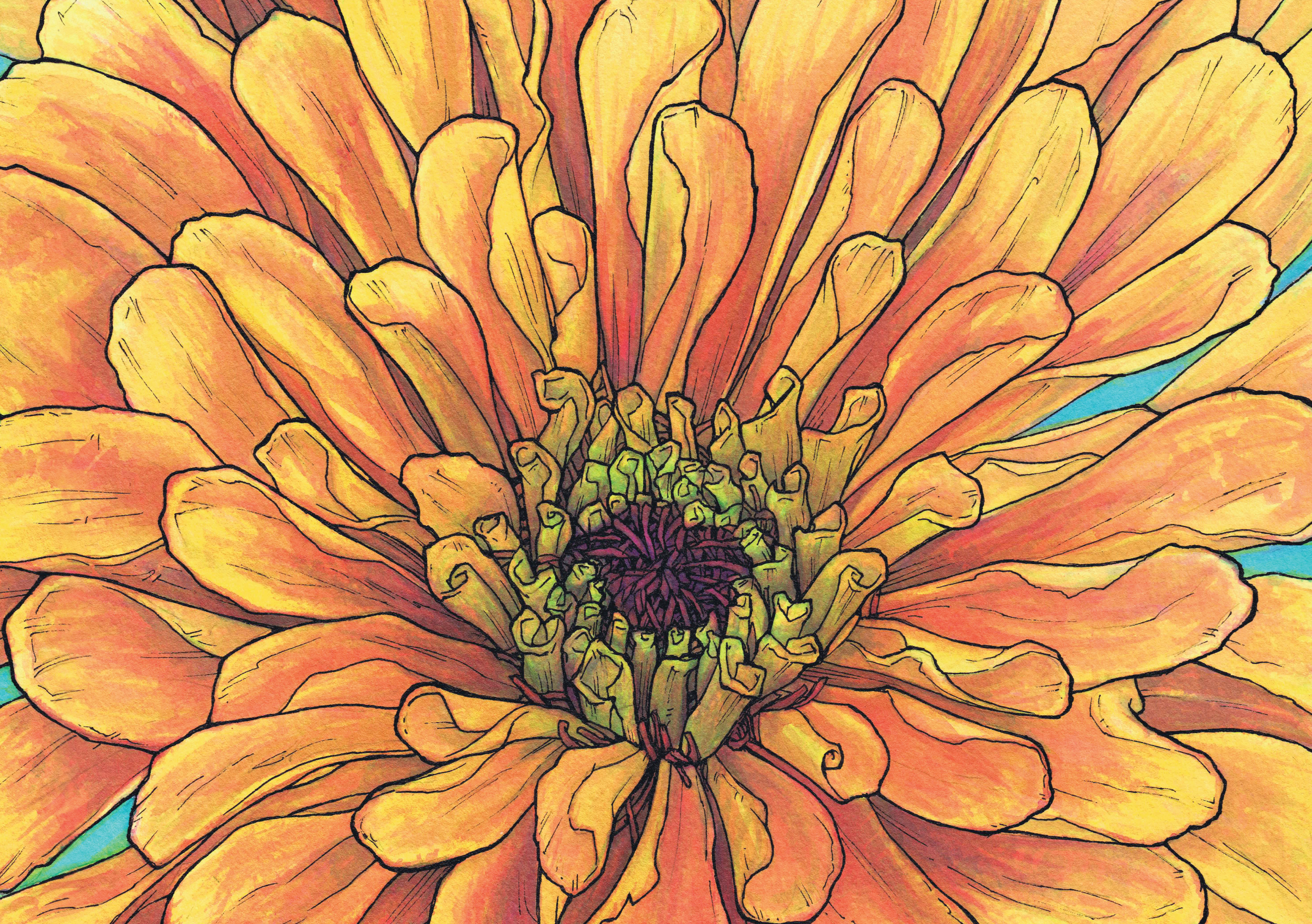 close-up on ZInnia Ink drawing